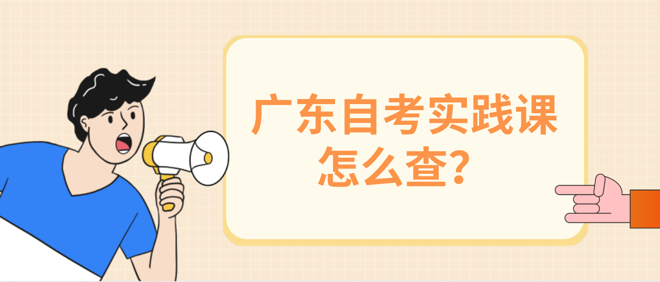 广东自考实践课怎么查？