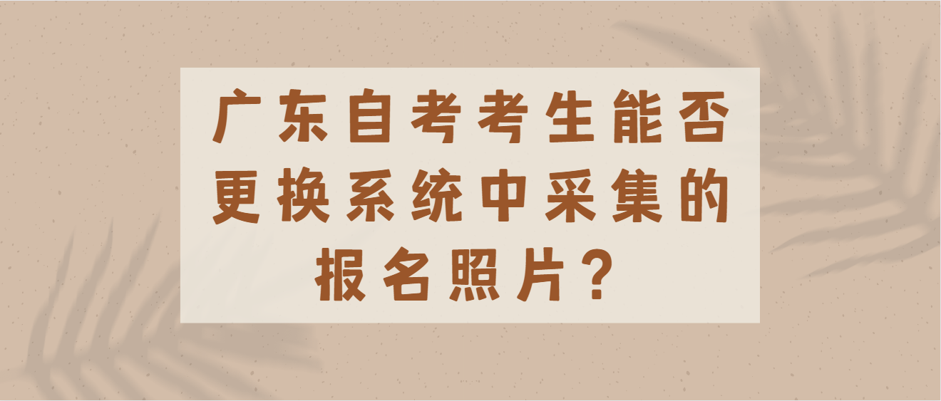 广东自考考生能否更换系统中采集的报名照片？