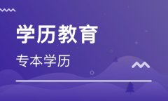 什么是成考、东莞自学考试、网络教育、电大