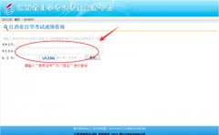 2019年4月广东东莞自考成绩查询是什么时候