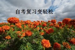 专套本还是广东自学考试专升本 哪个更好?