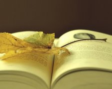 广东自学考试都有什么类型？分别是什么含义？