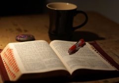 广东自学考试学位证书怎样申请？办理条件有哪些？