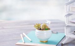 关于做好2019年自学考试新旧专 业转接的通知「湖北」