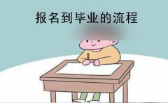 广东自学考试从报名到毕业的流程总览