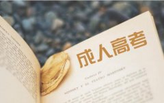 广东自学考试能不能参加辅导班
